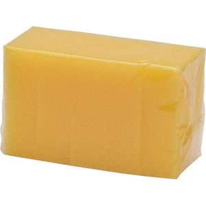 Insectenspons - Set 5 Stuks