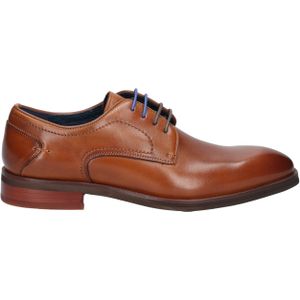 Daniel Kenneth - Ylan - Nette Veterschoen - Bruin - Derby