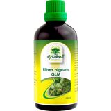 Fytobell - Ribes Nigrum - Fytotherapie - 100 ml