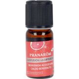 Pranarôm - La Difusión - Æterische Olie - Druif - 10 ml
