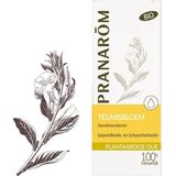 Teunisbloemolie - 100ml - Natuurlijke Olie