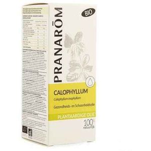 Pranarom Calophylle plantaardige olie Olie 50ml