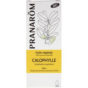 Tuinartikelen - Calophyllumolie - 100ml - Natuurlijke Ingrediënten