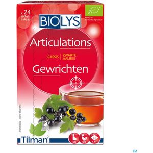 Biolys - Aalbes Sach 24 - Kruidenthee - Zwart - Natuurlijke Ingrediënten