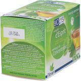 Biolys - Ginkgo Groene Thee - 24 Sachets - Voedingssupplement