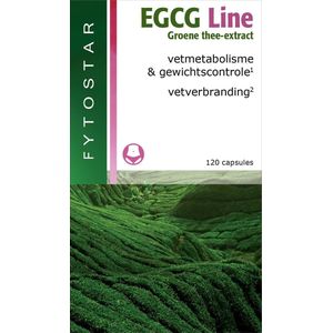 FYTOSTAR EGCG Line MAXI 120 cap NL/BE