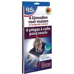 6 Lijmvallen Voor Muizen En Kruipende Insecten - Zilvervisjes - Ongediertewinkel