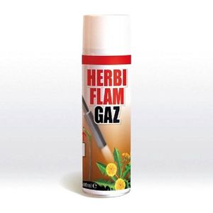 Gasfles onkruidbrander | BSI | 600 ml