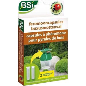 Buxusmotval Navulling - BSI (Feromone - 2 Stuks)