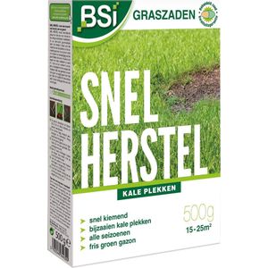 BSI Graszaad snel herstel 500 Gram 25 M2