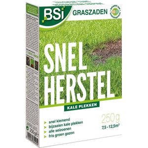 Graszaad Snel Herstel - 250 g voor 12,5 m²
