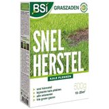 BSI Graszaad snel herstel 2,5 KG 125M2