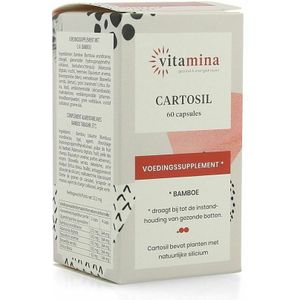 Voedingssupplement - Organisch Silicium - 60 Capsules - Natuurlijke Extracten