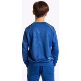 Osaka - Deshi Training Sweater - Sporttrui - Blauw - 100% Frans Terry Polyester