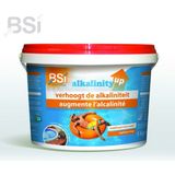 Alkaliteit verhoger | BSI (5 kg)