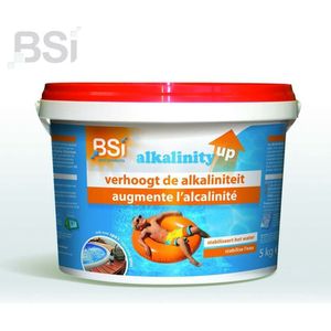 BSI Alkalinity Up 5 kg