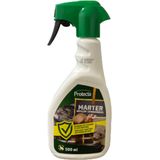 Protecta Marter Spray 500 ml | kant en klaar
