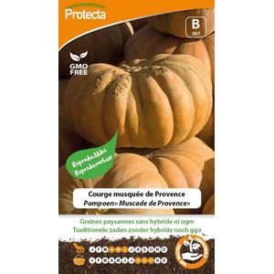 Protecta Groente zaden: Pompoen Muscade de Provence