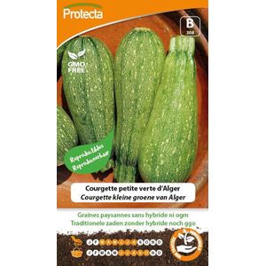 Protecta Groente zaden: Courgette kleine groene van Alger