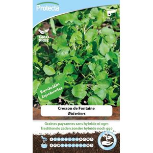 Protecta Groente zaden: Waterkers