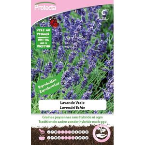 Protecta Kruiden/bloemen zaden: Lavendel Echte | Lavandula