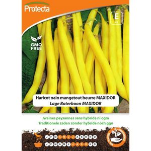 Protecta Groente zaden: Lage Boterboon MAXIDOR