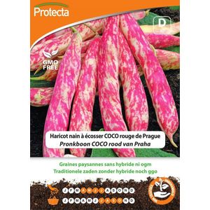 Protecta Groente zaden: Pronkboon COCO rood van Praha