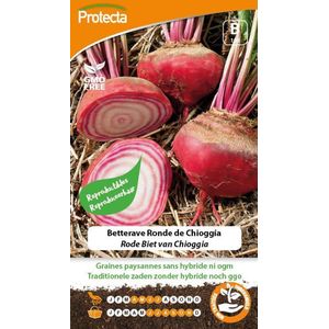 Protecta Groente zaden: Rode Biet van Chioggia