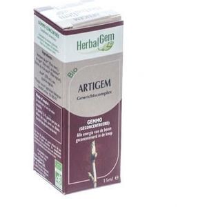 Herbalgem Artigem Complex 15 ml  -  Herbalgem