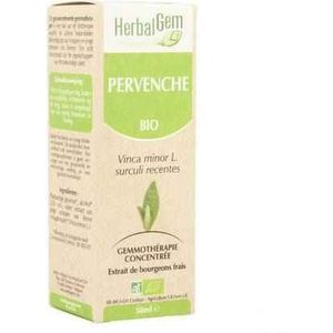 Herbalgem Maagdenpalm Maceraat 50 ml  -  Herbalgem
