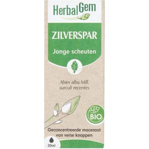 Voedingssupplement - Dennenboom - Groen - Natuurlijke Afweer