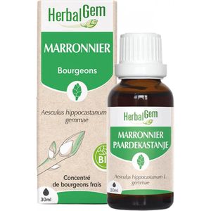 Voedingssupplement - Paardenkastanje - Ondersteunt Bloedsomloop - 90 Capsules