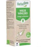 Gewrichtsmiddelen - Ondersteuning - Voor Kleine Gewrichten