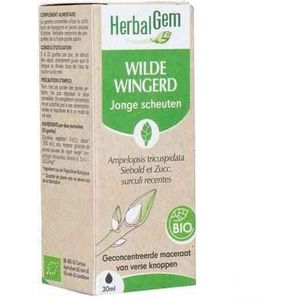 Gewrichtsmiddelen - Ondersteuning - Voor Kleine Gewrichten