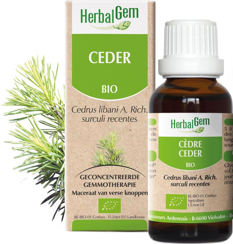 Strand Windscherm 6 meter dralon effen groen met houten stokken