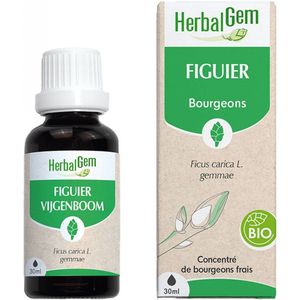 Herbalgem - Vijgenboom Maceraat - Druppels - Bio - 30ml