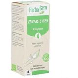 Herbalgem Zwarte bes maceraat Bio Druppels 30ml