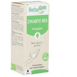 Herbalgem Zwarte Bes Bio 30ml