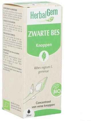 HerbalGem Zwarte Bes Bio 30 Druppels