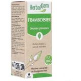 Herbalgem Framboos Bio 30 Druppels