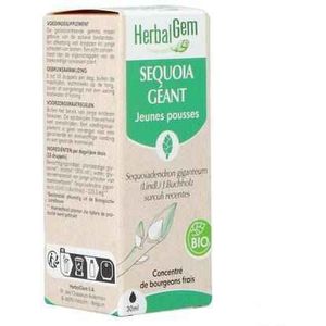 Sequoia - Hout - Fytotherapie