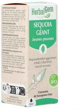 Sequoia - Hout - Fytotherapie