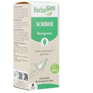 Herbalgem - Lijsterbes - Fytotherapie - Bio - 30 ml