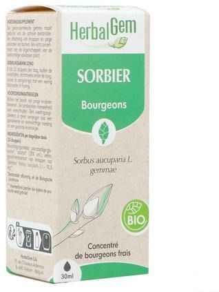 Herbalgem - Lijsterbes - Fytotherapie - Bio - 30 ml