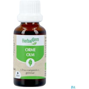 Voedingssupplement - Iep/Olm - Effectief voor Huidzuivering