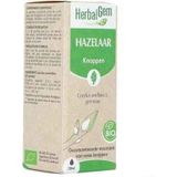 Fytotherapie - Hazelnoot - Struik - Gematigde Streken