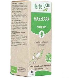 Fytotherapie - Hazelnoot - Struik - Gematigde Streken