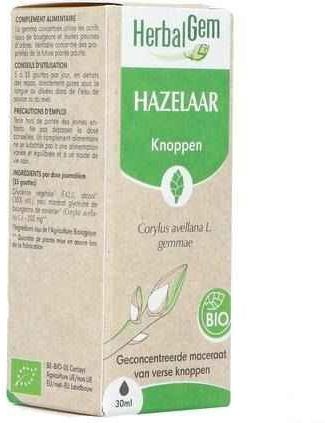 Fytotherapie - Hazelnoot - Struik - Gematigde Streken
