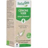 Herbalgem - Vlier Maceraat - Druppels - Bio - 30ml