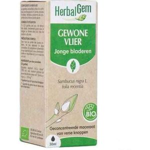 Herbalgem - Vlier Maceraat - Druppels - Bio - 30ml